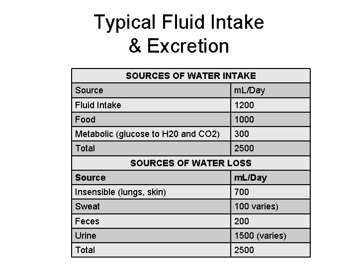 Typical Fluid Intake & Excretion SOURCES OF WATER INTAKE Source m. L/Day Fluid Intake