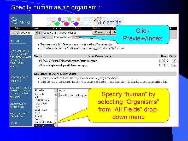 Specify human as an organism : Click Preview/Index Specify “human” by selecting “Organisms” from