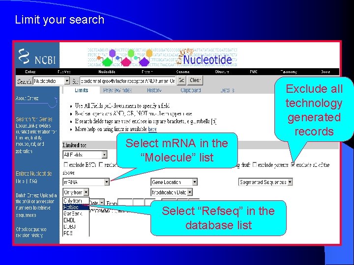 Limit your search Select m. RNA in the “Molecule” list Select “Refseq” in the