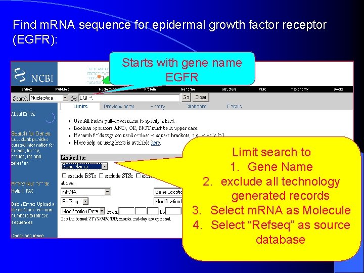 Find m. RNA sequence for epidermal growth factor receptor (EGFR): Starts with gene name