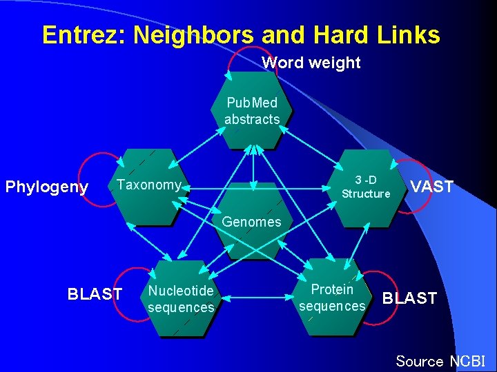 Entrez: Neighbors and Hard Links Word weight Pub. Med abstracts Phylogeny 3 -D 3