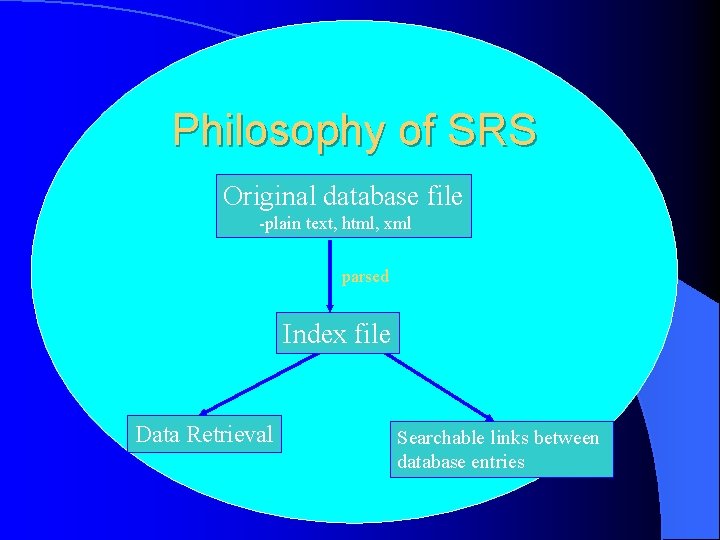 Philosophy of SRS Original database file -plain text, html, xml parsed Index file Data