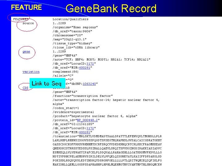 FEATURE Link to Seq Gene. Bank Record 