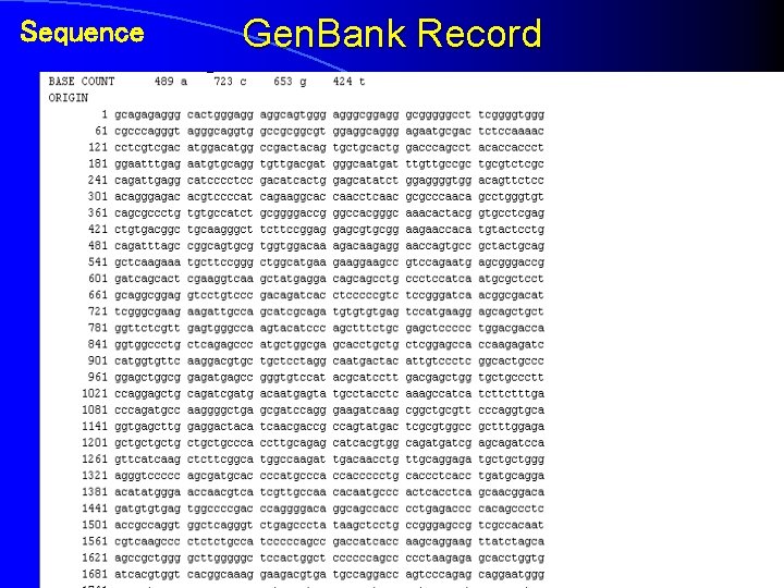 Sequence Gen. Bank Record 