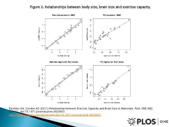 Figure 2. Relationships between body size, brain size and exercise capacity. Raichlen DA, Gordon