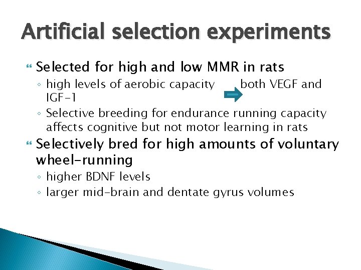 Artificial selection experiments Selected for high and low MMR in rats ◦ high levels