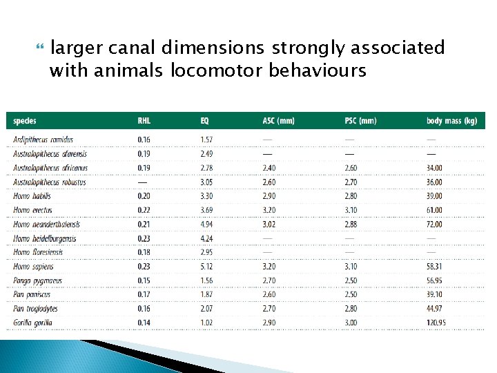  larger canal dimensions strongly associated with animals locomotor behaviours 