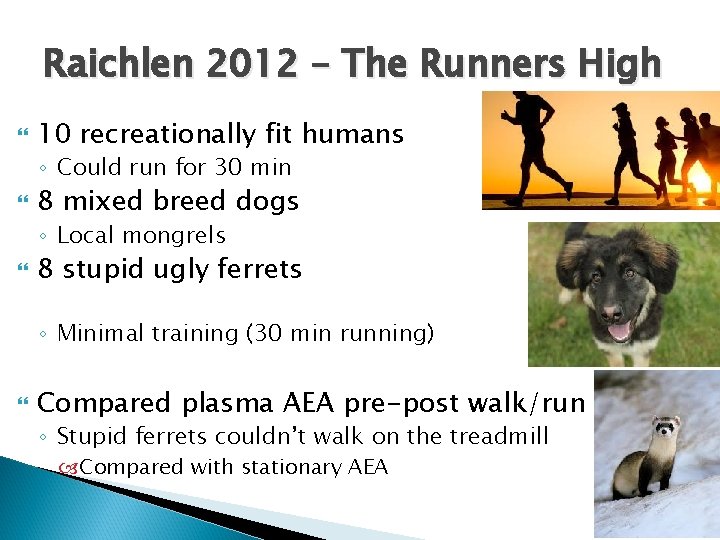 Raichlen 2012 – The Runners High 10 recreationally fit humans ◦ Could run for