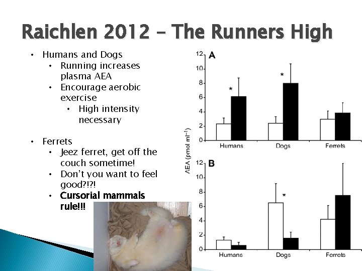 Raichlen 2012 – The Runners High • Humans and Dogs • Running increases plasma