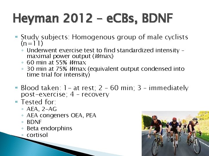 Heyman 2012 – e. CBs, BDNF Study subjects: Homogenous group of male cyclists (n=11)