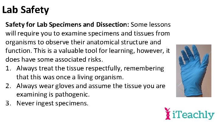 Lab Safety for Lab Specimens and Dissection: Some lessons will require you to examine