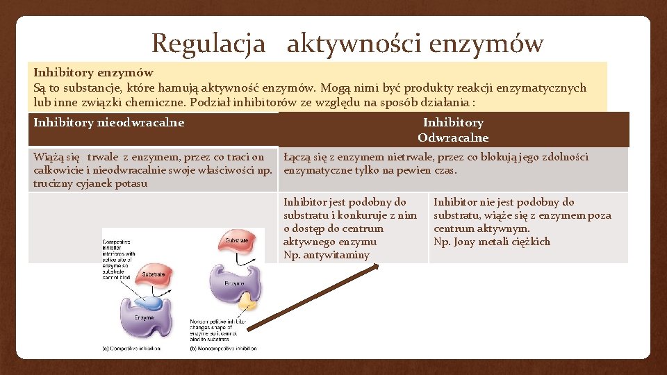 Regulacja aktywności enzymów Inhibitory enzymów Są to substancje, które hamują aktywność enzymów. Mogą nimi