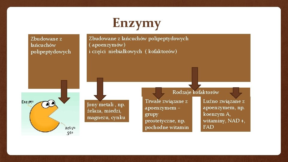 Enzymy Zbudowane z łańcuchów polipeptydowych ( apoenzymów) i części niebiałkowych ( kofaktorów) Rodzaje kofaktorów