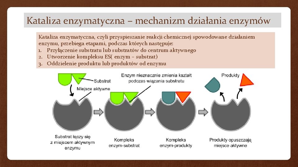 Kataliza enzymatyczna – mechanizm działania enzymów Kataliza enzymatyczna, czyli przyspieszanie reakcji chemicznej spowodowane działaniem