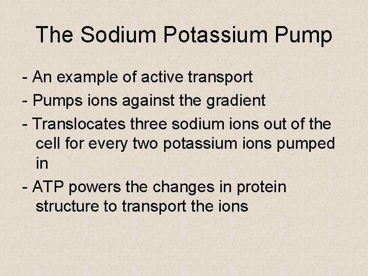 The Sodium Potassium Pump - An example of active transport - Pumps ions against