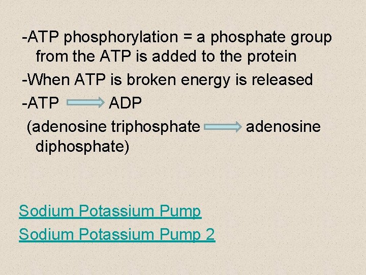 -ATP phosphorylation = a phosphate group from the ATP is added to the protein