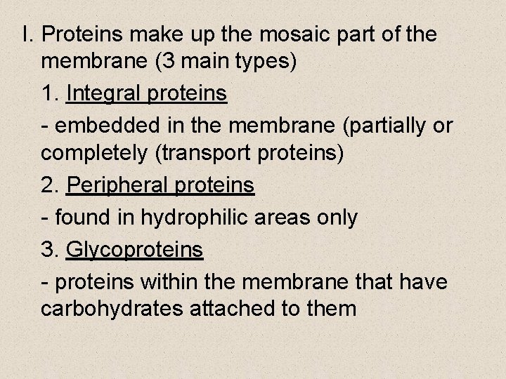 I. Proteins make up the mosaic part of the membrane (3 main types) 1.