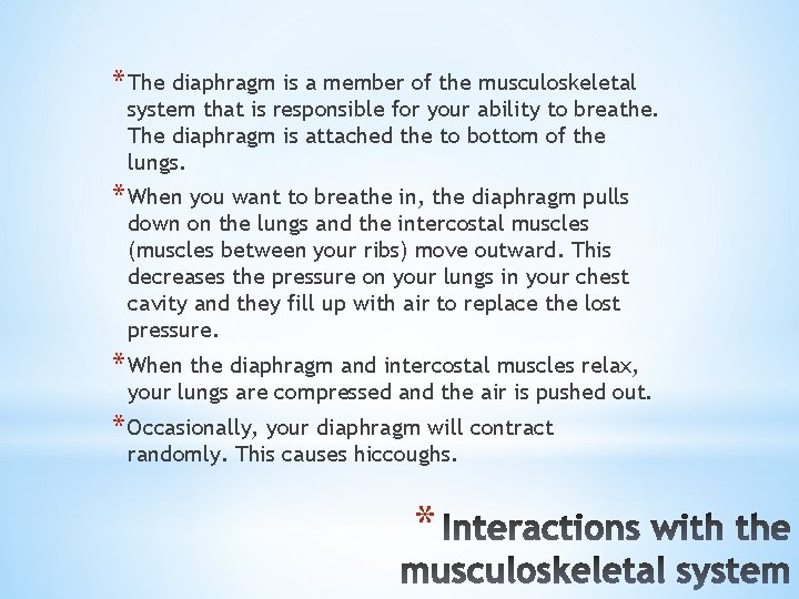 * The diaphragm is a member of the musculoskeletal system that is responsible for