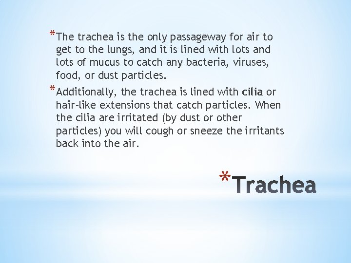 *The trachea is the only passageway for air to get to the lungs, and