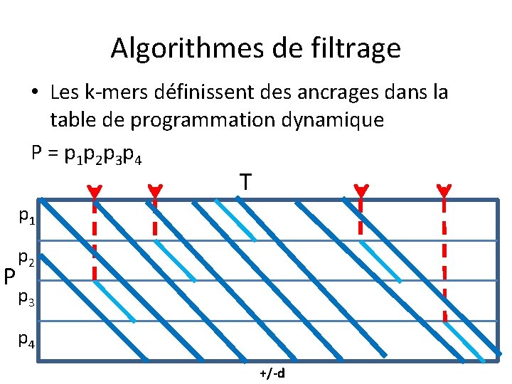 Algorithmes de filtrage • Les k-mers définissent des ancrages dans la table de programmation