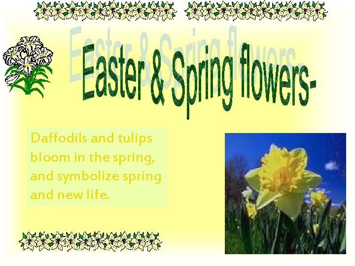 Daffodils and tulips bloom in the spring, and symbolize spring and new life. 