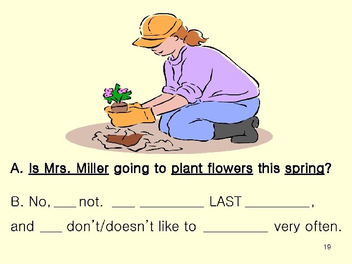 A. Is Mrs. Miller going to plant flowers this spring? 19 