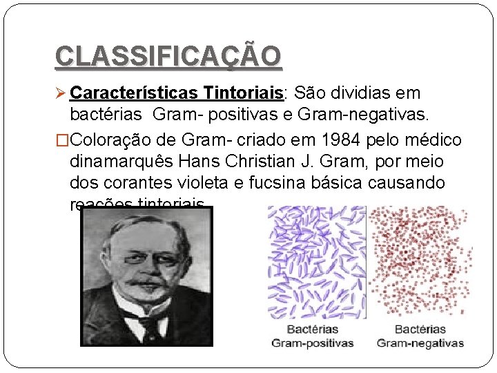 CLASSIFICAÇÃO Ø Características Tintoriais: São dividias em bactérias Gram- positivas e Gram-negativas. �Coloração de