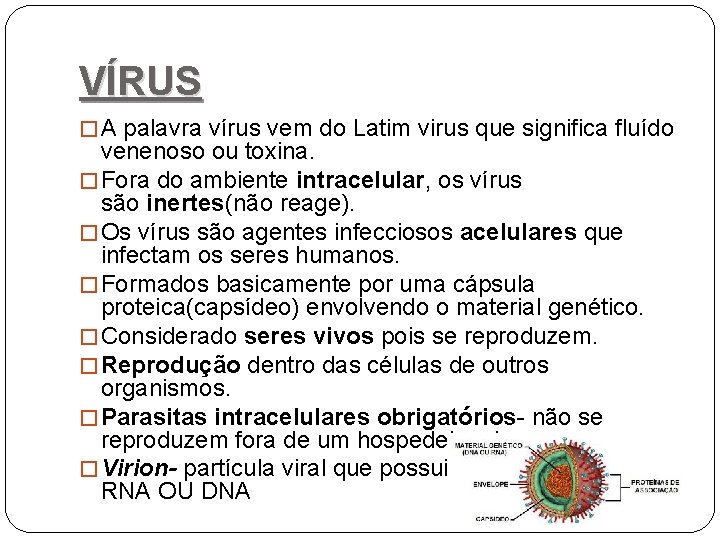 VÍRUS � A palavra vírus vem do Latim virus que significa fluído venenoso ou