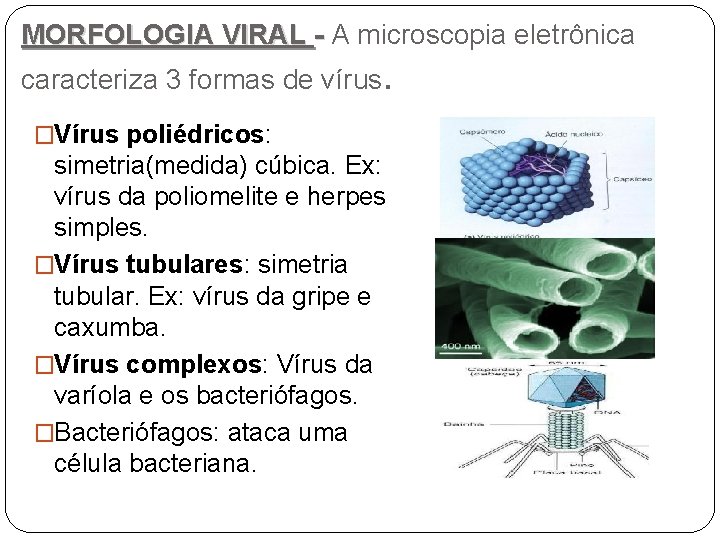 MORFOLOGIA VIRAL - A microscopia eletrônica caracteriza 3 formas de vírus. �Vírus poliédricos: simetria(medida)