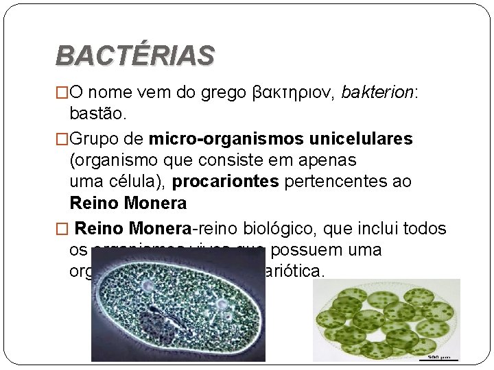 BACTÉRIAS �O nome vem do grego βακτηριον, bakterion: bastão. �Grupo de micro-organismos unicelulares (organismo