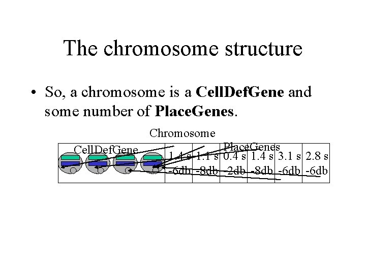 The chromosome structure • So, a chromosome is a Cell. Def. Gene and some