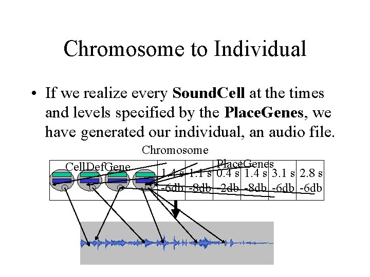 Chromosome to Individual • If we realize every Sound. Cell at the times and
