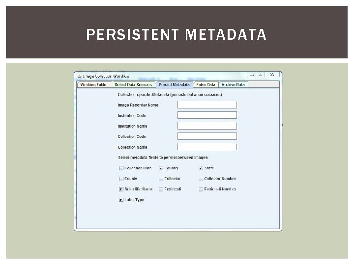 PERSISTENT METADATA 