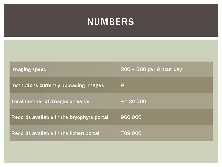 NUMBERS Imaging speed 300 – 500 per 8 hour day Institutions currently uploading images