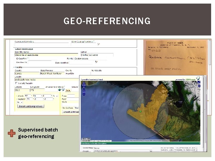 GEO-REFERENCING Supervised batch geo-referencing 