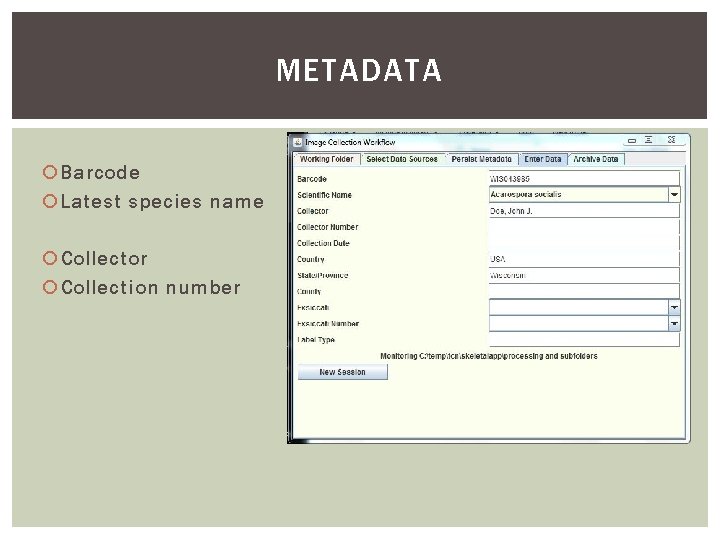 METADATA Barcode Latest species name Collector Collection number 