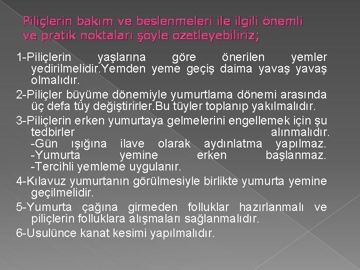 Piliçlerin bakım ve beslenmeleri ile ilgili önemli ve pratik noktaları şöyle özetleyebiliriz; 1 -Piliçlerin