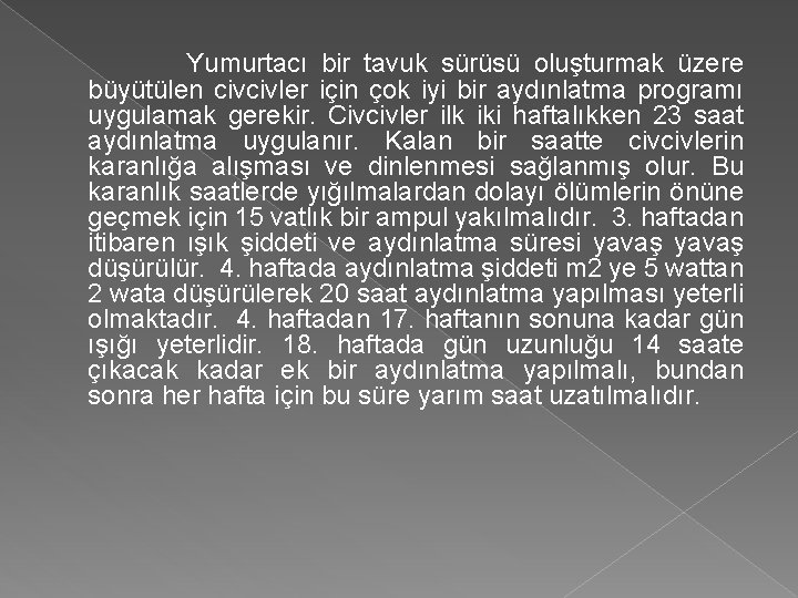 Yumurtacı bir tavuk sürüsü oluşturmak üzere büyütülen civcivler için çok iyi bir aydınlatma programı