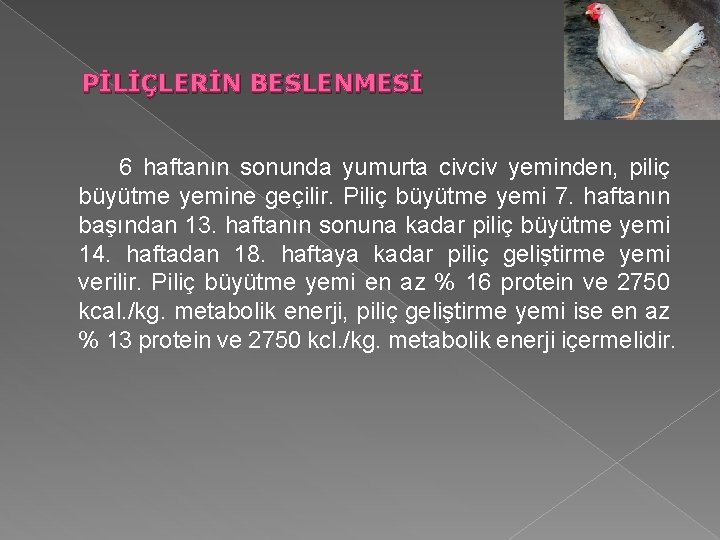 PİLİÇLERİN BESLENMESİ 6 haftanın sonunda yumurta civciv yeminden, piliç büyütme yemine geçilir. Piliç büyütme PİLİÇLERİN BESLENMESİ 6 haftanın sonunda yumurta civciv yeminden, piliç büyütme yemine geçilir. Piliç büyütme