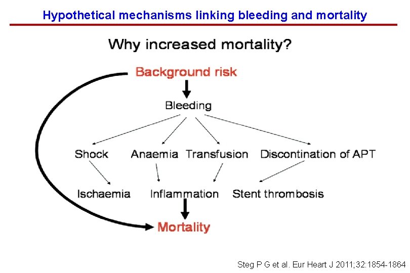 Hypothetical mechanisms linking bleeding and mortality Steg P G et al. Eur Heart J