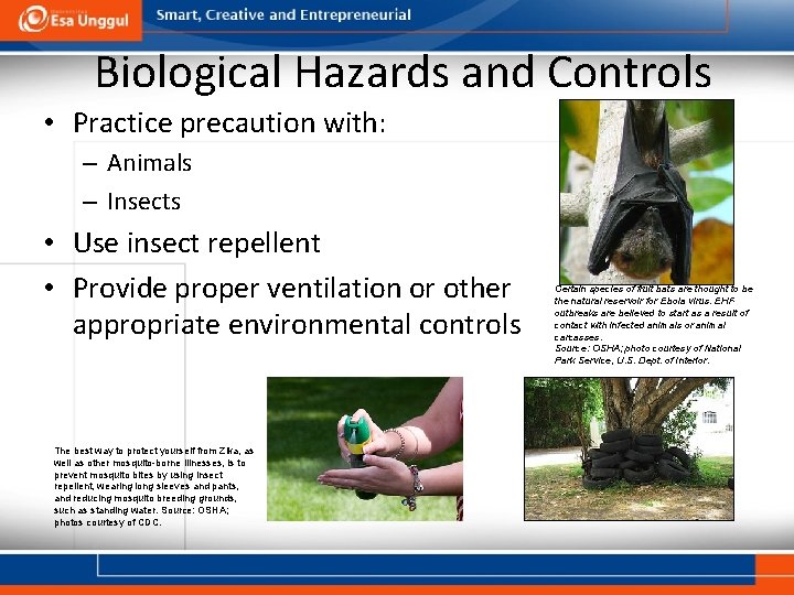 Biological Hazards and Controls • Practice precaution with: – Animals – Insects • Use