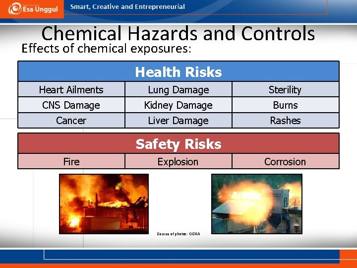 Chemical Hazards and Controls Effects of chemical exposures: Health Risks Heart Ailments Lung Damage