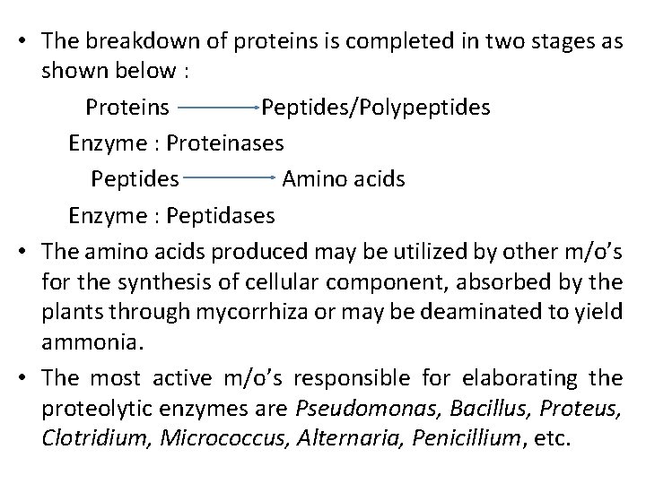  • The breakdown of proteins is completed in two stages as shown below