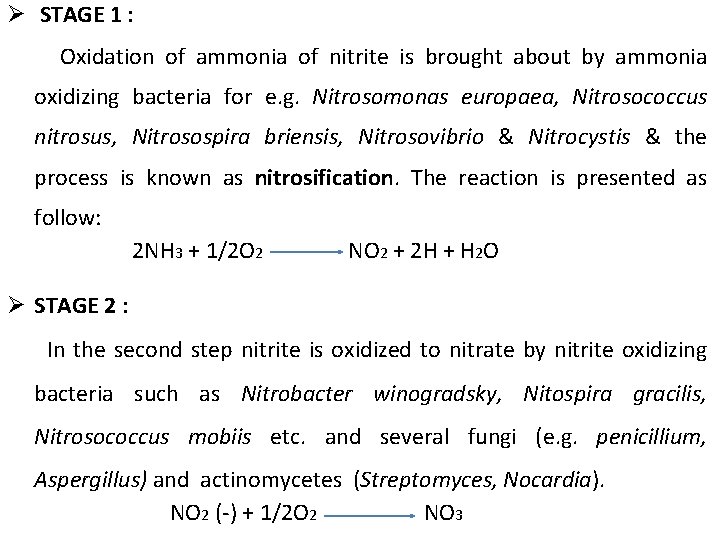 Ø STAGE 1 : Oxidation of ammonia of nitrite is brought about by ammonia