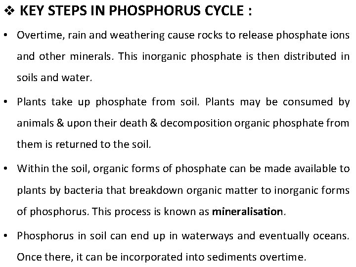 v KEY STEPS IN PHOSPHORUS CYCLE : • Overtime, rain and weathering cause rocks