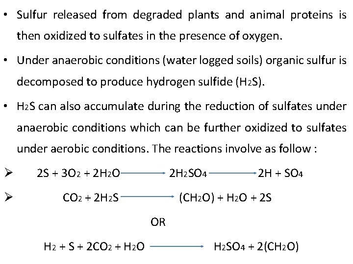  • Sulfur released from degraded plants and animal proteins is then oxidized to