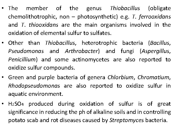  • The member of the genus Thiobacillus (obligate chemolithotrophic, non – photosynthetic) e.