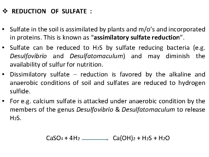 v REDUCTION OF SULFATE : • Sulfate in the soil is assimilated by plants