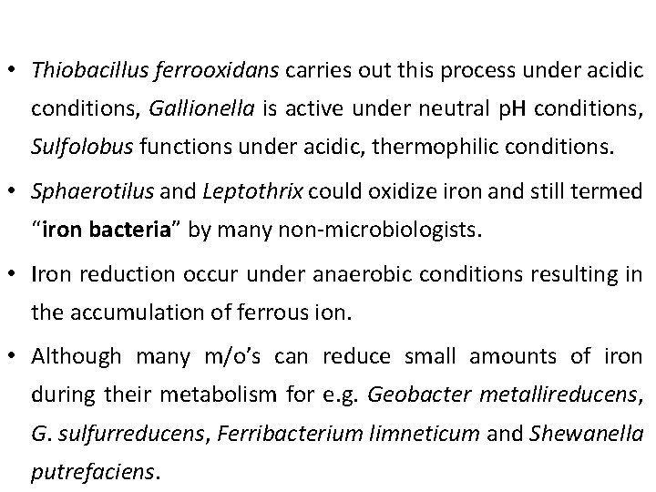  • Thiobacillus ferrooxidans carries out this process under acidic conditions, Gallionella is active
