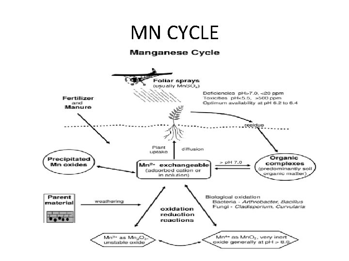 MN CYCLE 